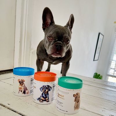 Food Grade Custom Printing Adorable Round Paper Box for Dog Cat PET Food Treats Snack Paper Tube Canister Pet Urns Scattering