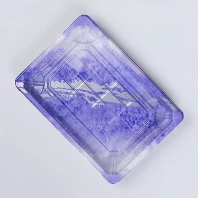 Custom Cake Packaging Transparent Disposable Takeout Sushi Tray Rectangular Plastic Sushi Food Packing Tray Sushi Box with Lid